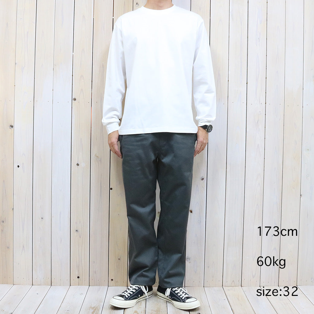 THE NORTH FACE PURPLE LABEL『Chino Straight Field Pants』(Asphalt Gray)