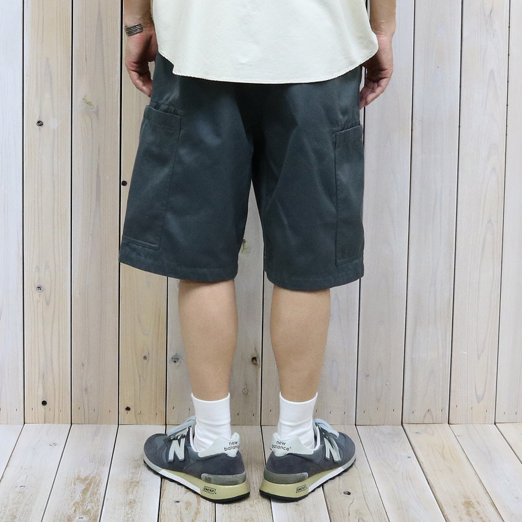 THE NORTH FACE PURPLE LABEL『Chino Cargo Pocket Field Shorts