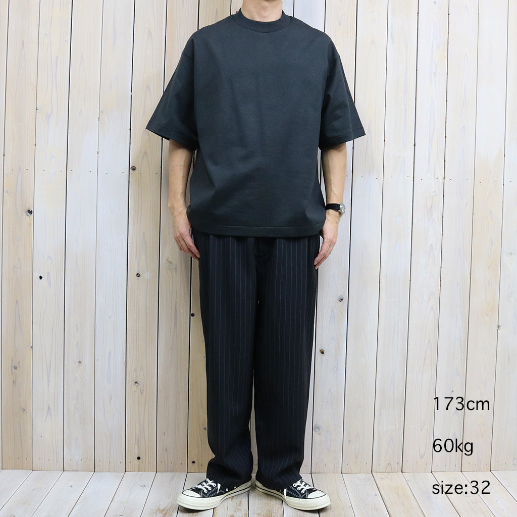 パンツ The North Face Purple Label Stripe Pants THE NORTH FACE PURPLE LABEL (ザ ノースフェイスパープルレーベル