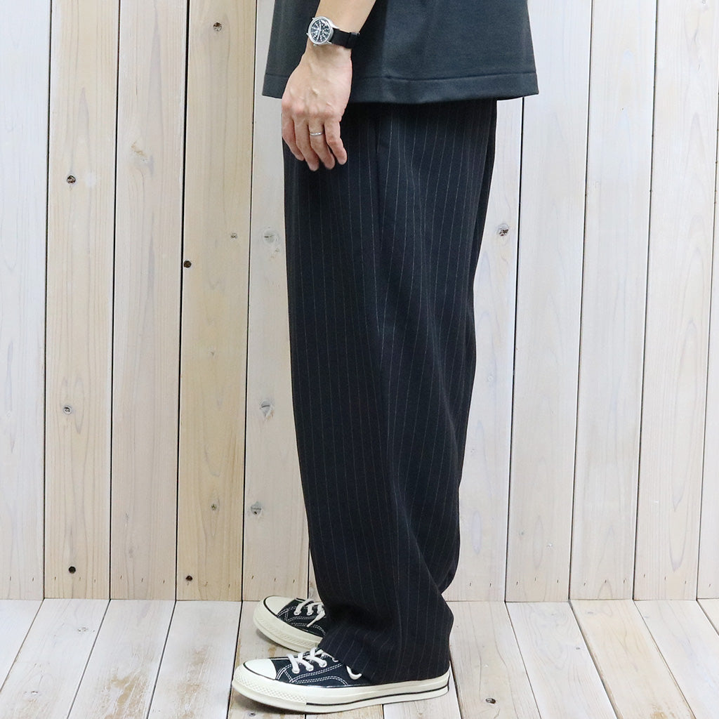 THE NORTH FACE PURPLE LABEL : Striped Field Pants (Black)