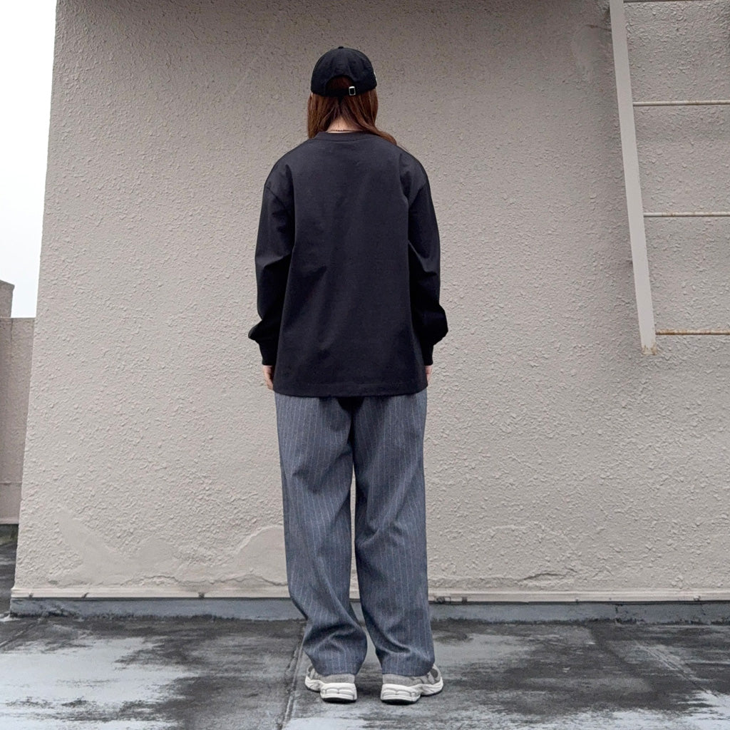 THE NORTH FACE PURPLE LABEL : Striped Field Pants (Gray)