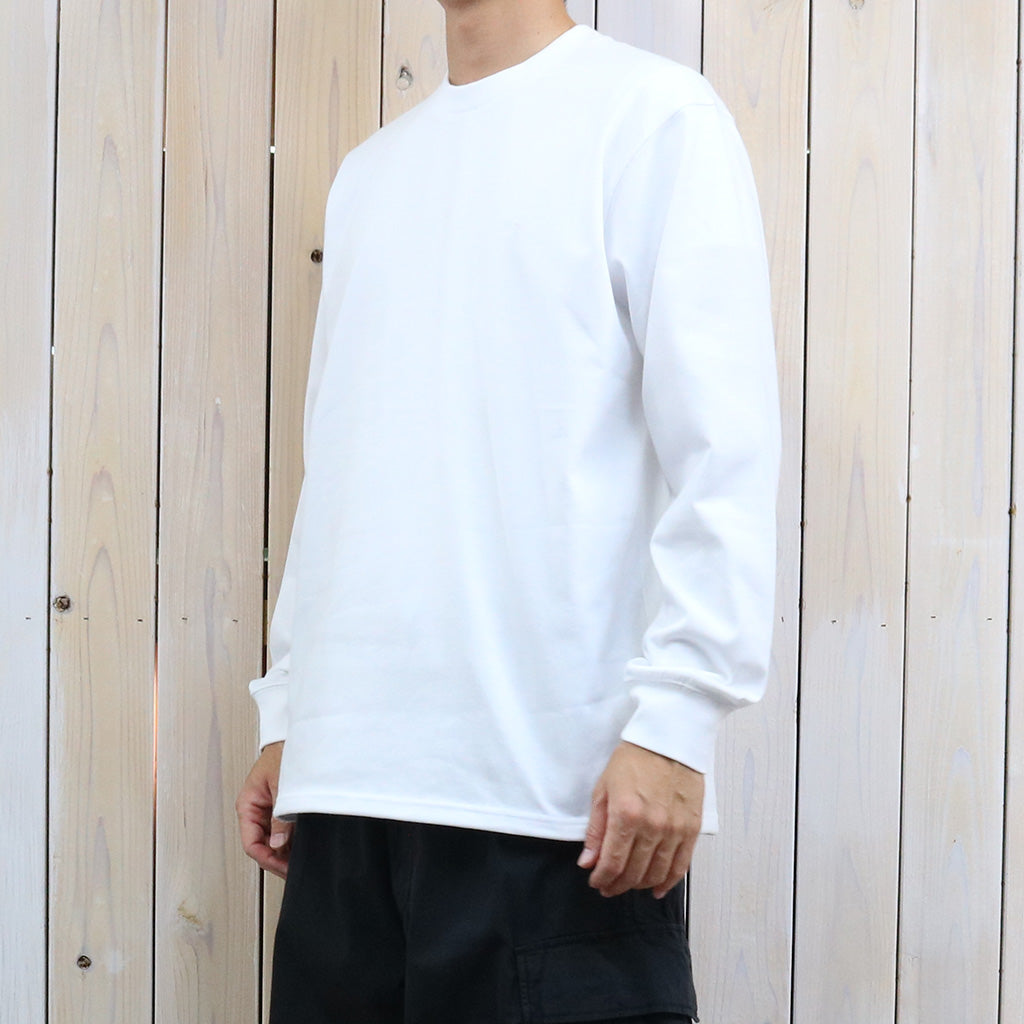 THE NORTH FACE PURPLE LABEL : Field Long Sleeve Tee (White)