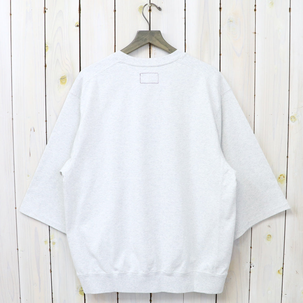 THE NORTH FACE PURPLE LABEL : 9.5oz Field S/S Pullover (Stone)