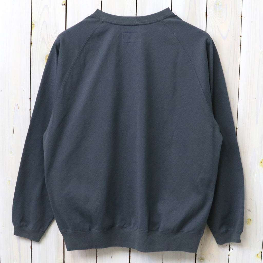 THE NORTH FACE PURPLE LABEL : 9.5oz Field Pullover (Asphalt Gray)