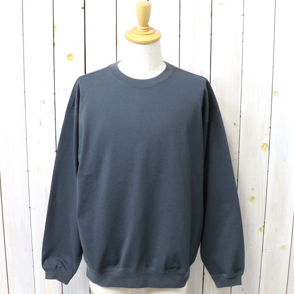 THE NORTH FACE PURPLE LABEL : 9.5oz Field Pullover (Asphalt Gray)