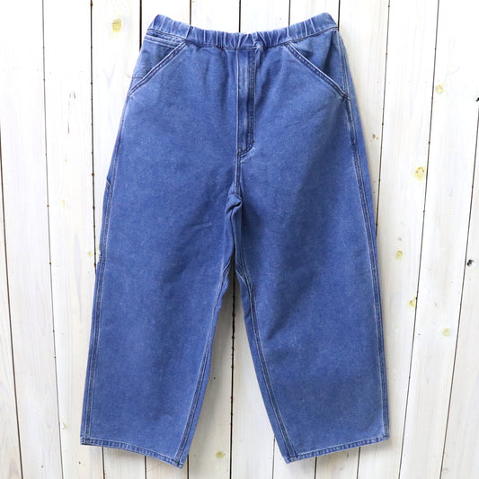 THE NORTH FACE PURPLE LABEL : Indigo Field Pants (Indigo Bleach)