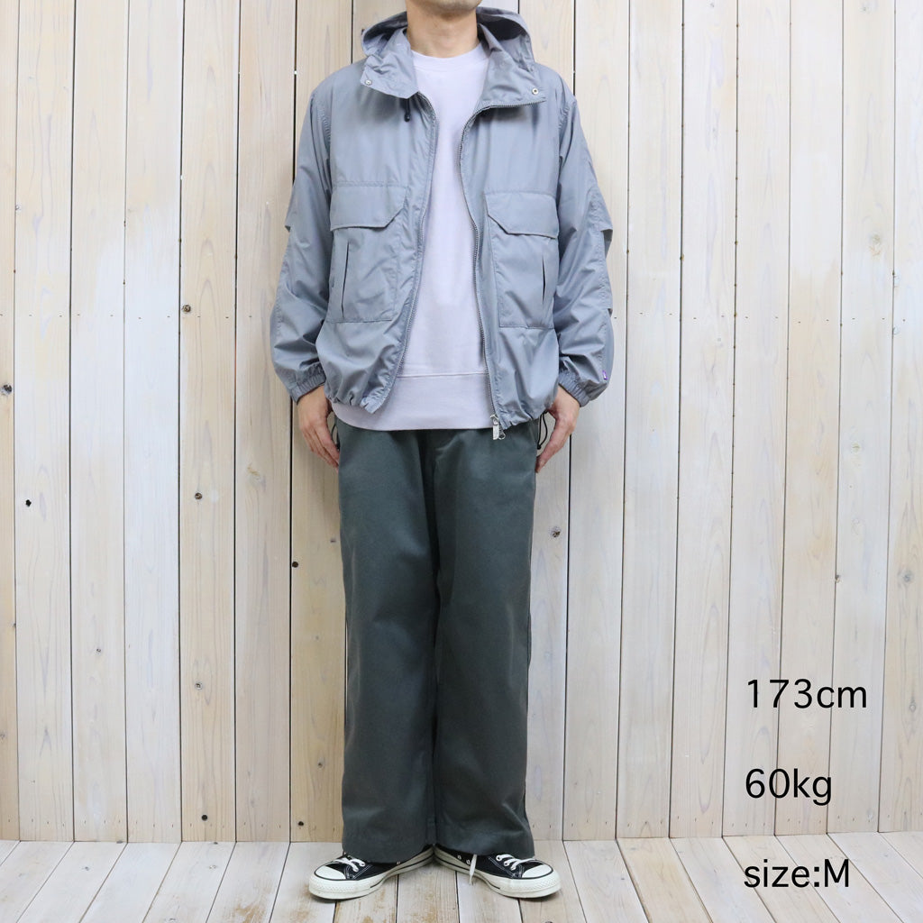 THE NORTH FACE PURPLE LABEL : PERTEX QUANTUM Mountain Wind Parka (Light Gray)