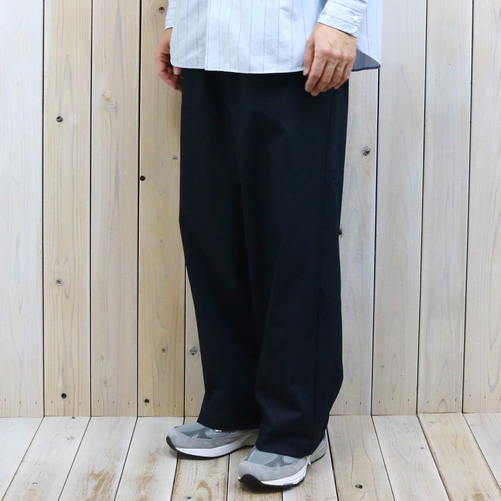 THE NORTH FACE PURPLE LABEL : Polyester Tropical Field Work Pants (Black)