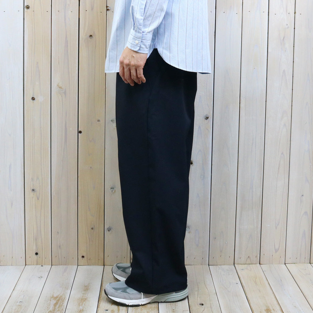 THE NORTH FACE PURPLE LABEL : Polyester Tropical Field Work Pants (Black)