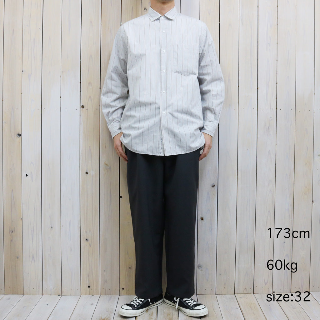 THE NORTH FACE PURPLE LABEL : Polyester Tropical Field Work Pants (Asphalt Gray)