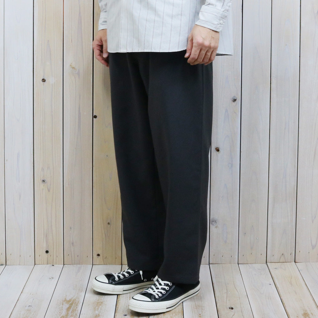 THE NORTH FACE PURPLE LABEL : Polyester Tropical Field Work Pants (Asphalt Gray)