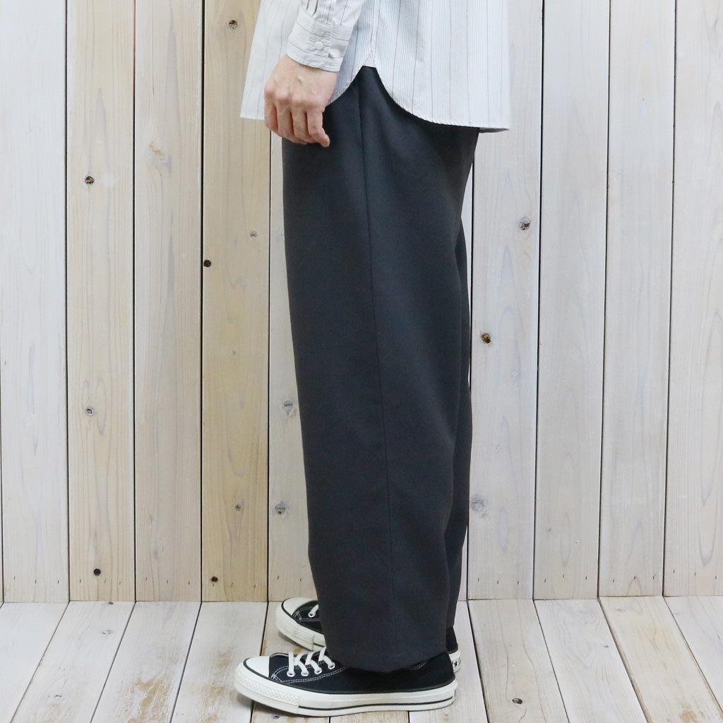 THE NORTH FACE PURPLE LABEL : Polyester Tropical Field Work Pants (Asphalt Gray)