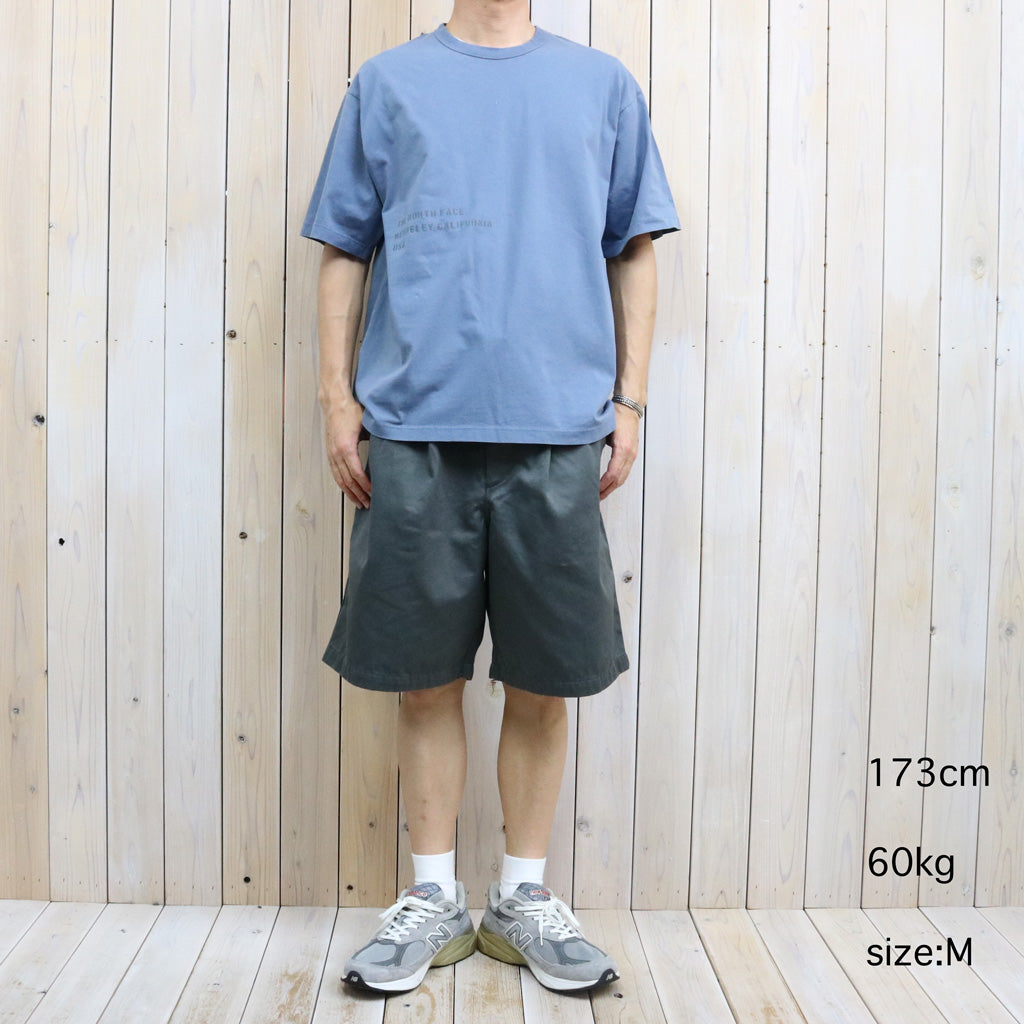 THE NORTH FACE PURPLE LABEL : Garment Dyed Lettered Field Tee (Blue)