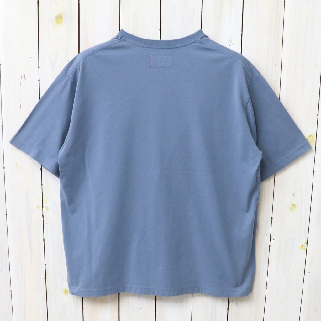 THE NORTH FACE PURPLE LABEL : Garment Dyed Lettered Field Tee (Blue)