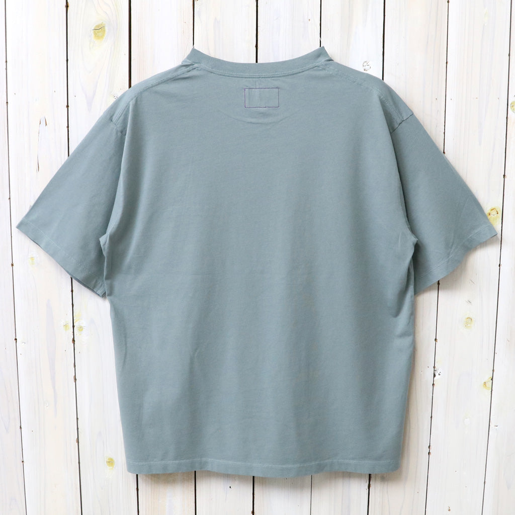 THE NORTH FACE PURPLE LABEL : Garment Dyed Field Tee (Light Sage)