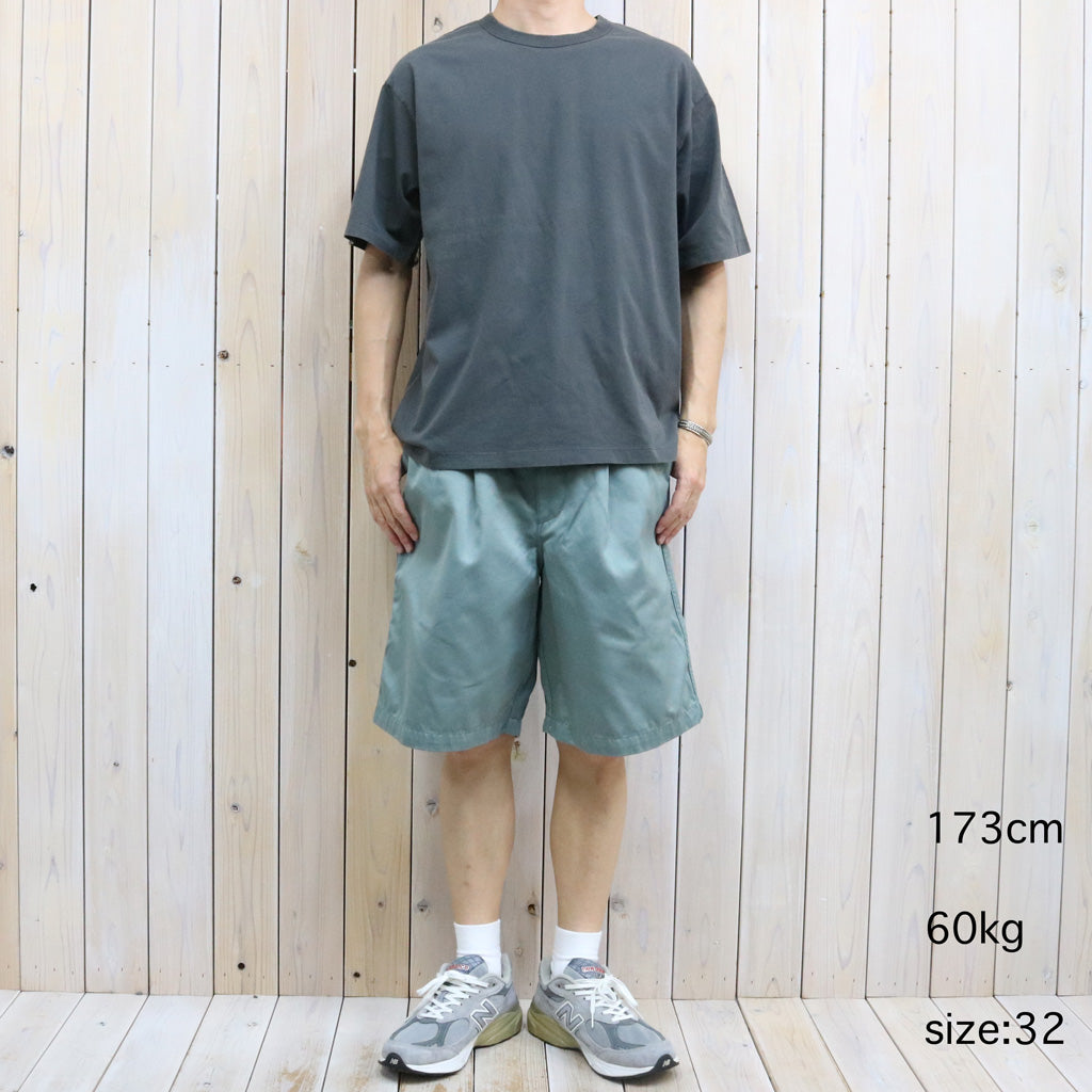 THE NORTH FACE PURPLE LABEL : Chino Tuck Field Shorts (Light Sage)