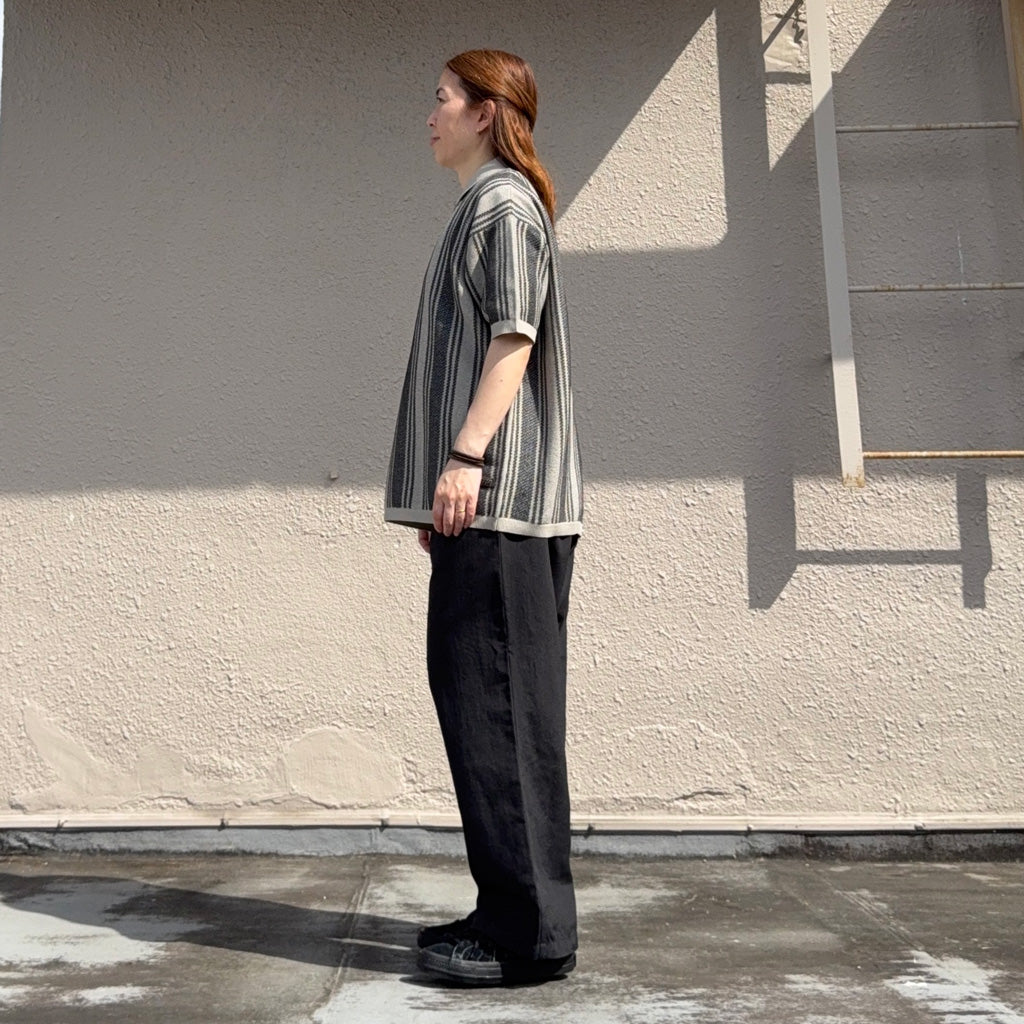 THE NORTH FACE PURPLE LABEL : Field Slacks (Black)