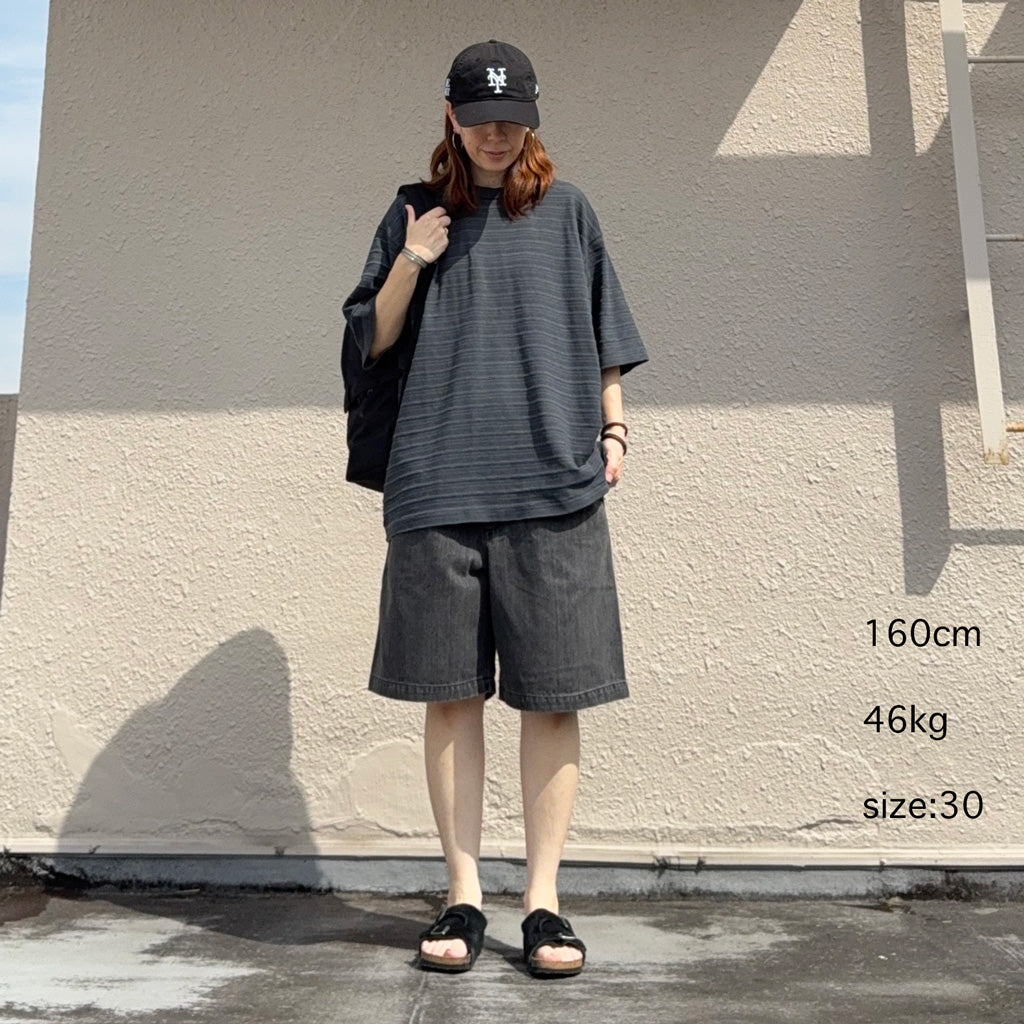 THE NORTH FACE PURPLE LABEL : Denim Tuck Field Shorts (Gray)