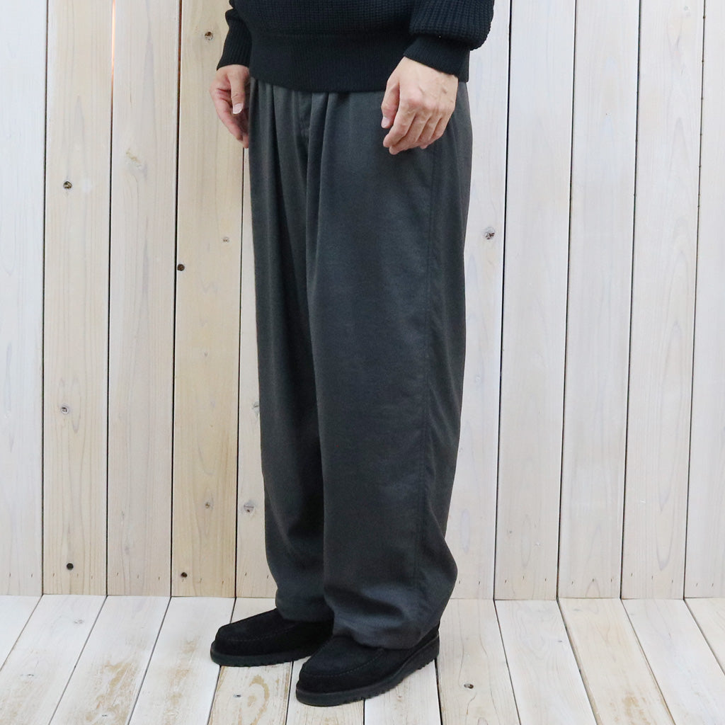 THE NORTH FACE PURPLE LABEL : Nylon Twill Wide Field Pants (Asphalt Gray)