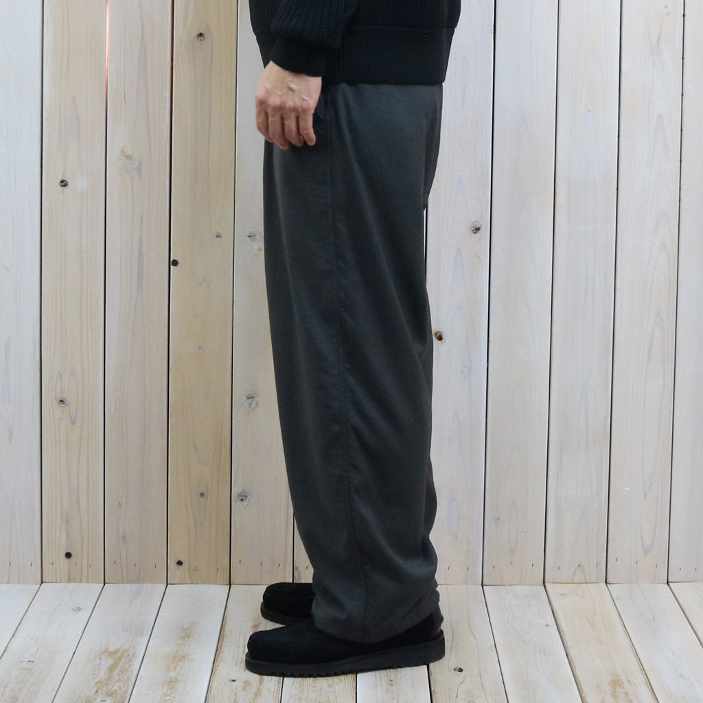 THE NORTH FACE PURPLE LABEL : Nylon Twill Wide Field Pants (Asphalt Gray)