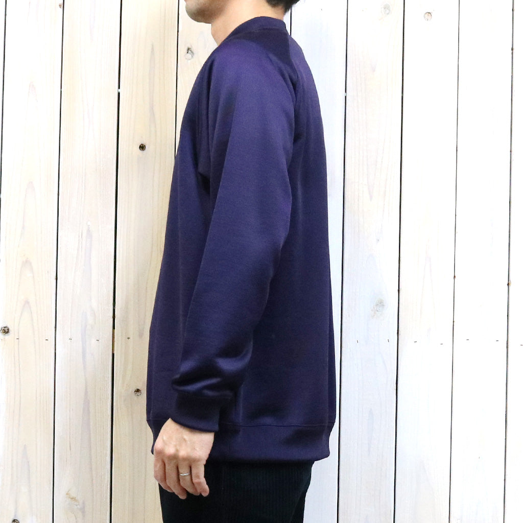 Needles『L/S Mock Neck Tee-C/PE Bright Jersey』(Eggplant)