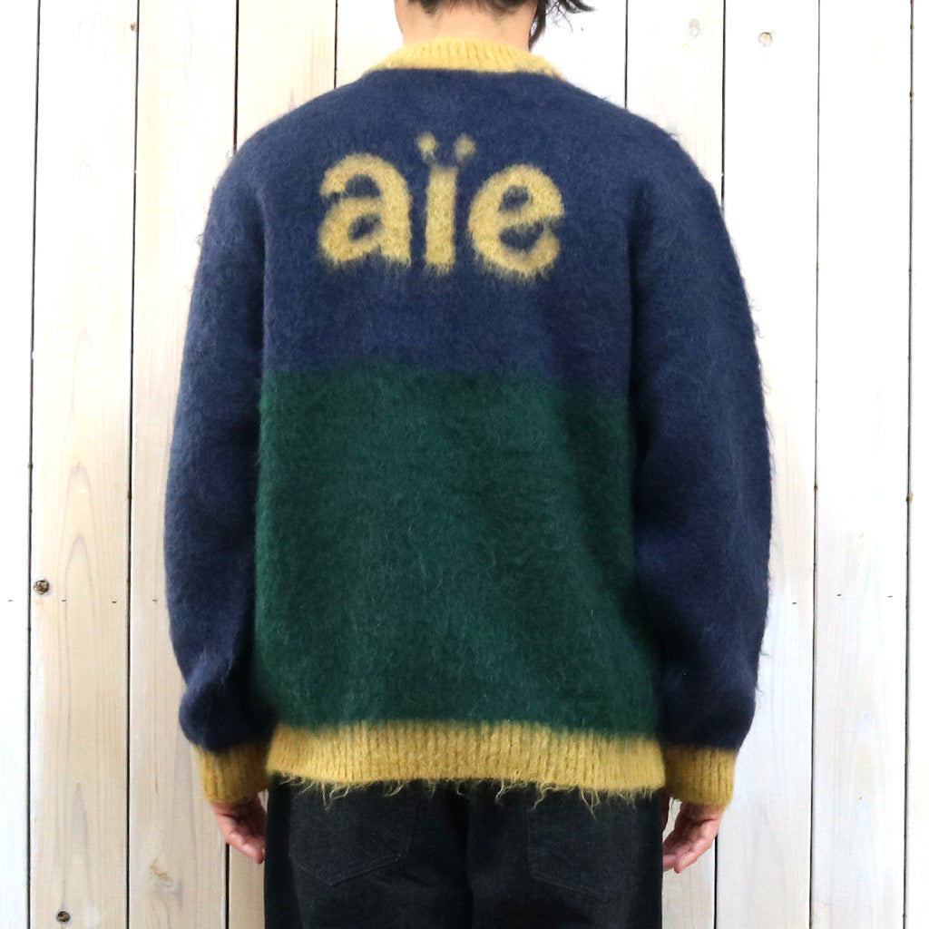 AiE『Mohair Mock Neck Sweater-Color Panel』(Navy/Green)