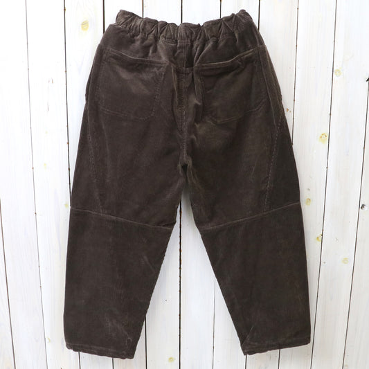 SOUTH2 WEST8 : Trek Pant-8W Corduroy (Brown)
