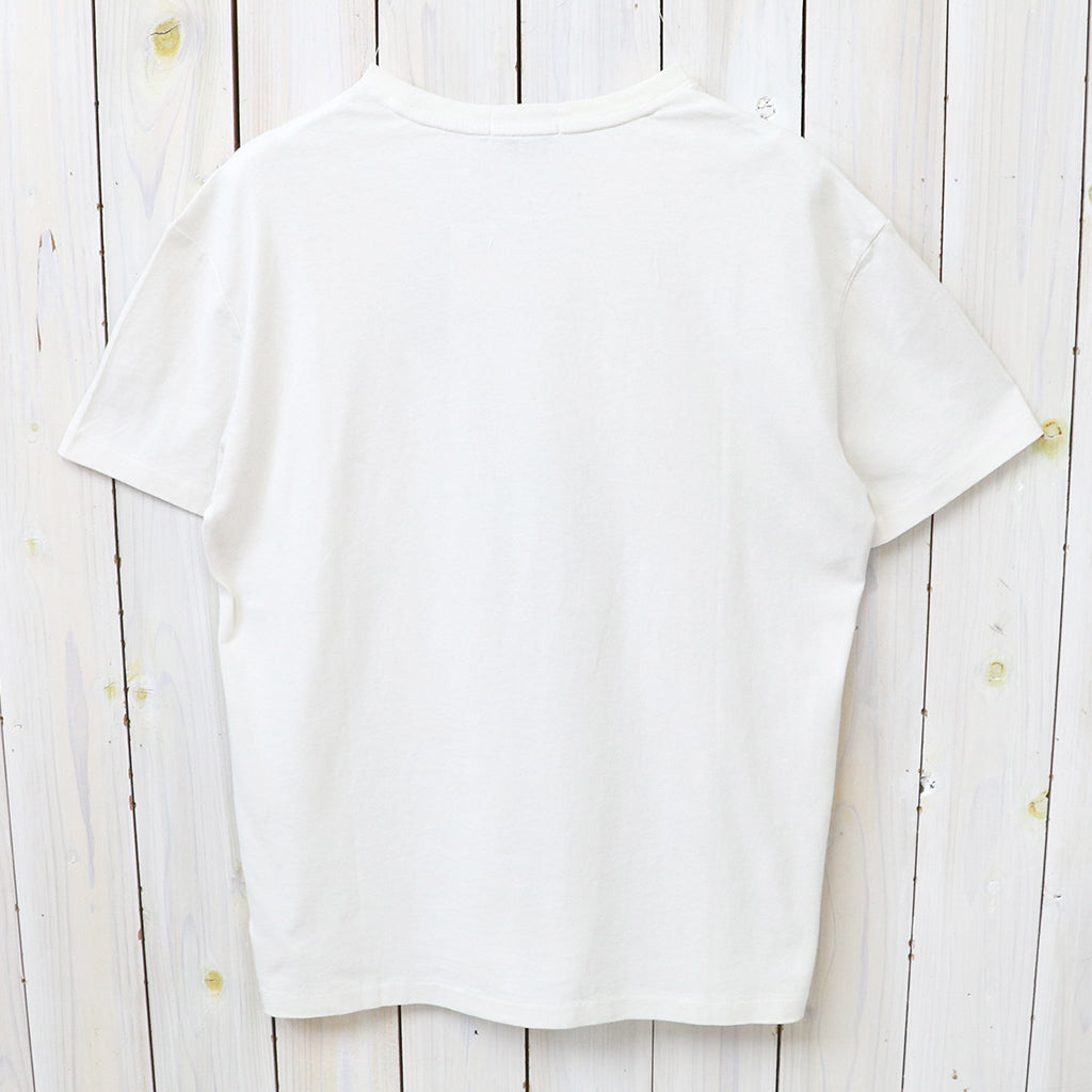 【SALE30%OFF】POLO RALPH LAUREN : クラシックフィット ジャージー グラフィック Tシャツ (NEVIS)