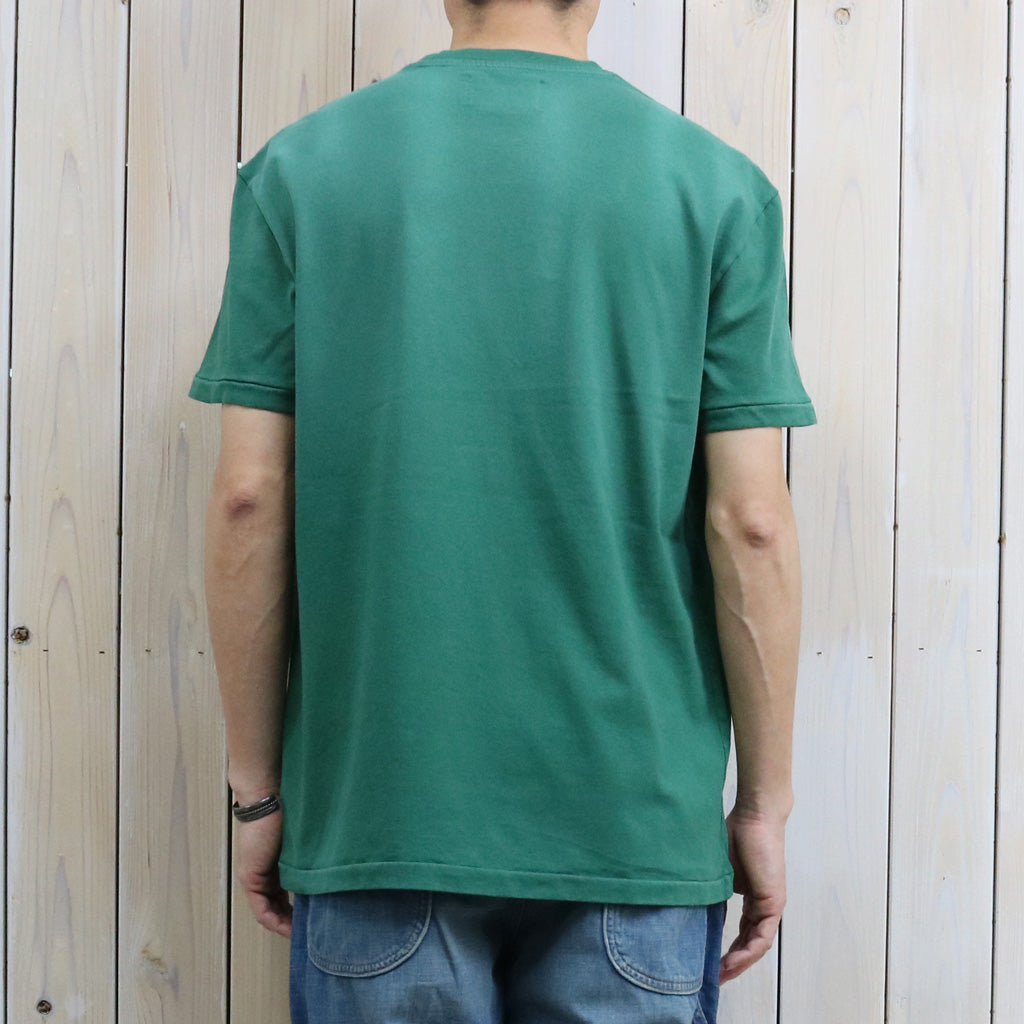 POLO RALPH LAUREN : クラシックフィット シーズナル グラフィック Tシャツ (ANTIQUE GREEN)
