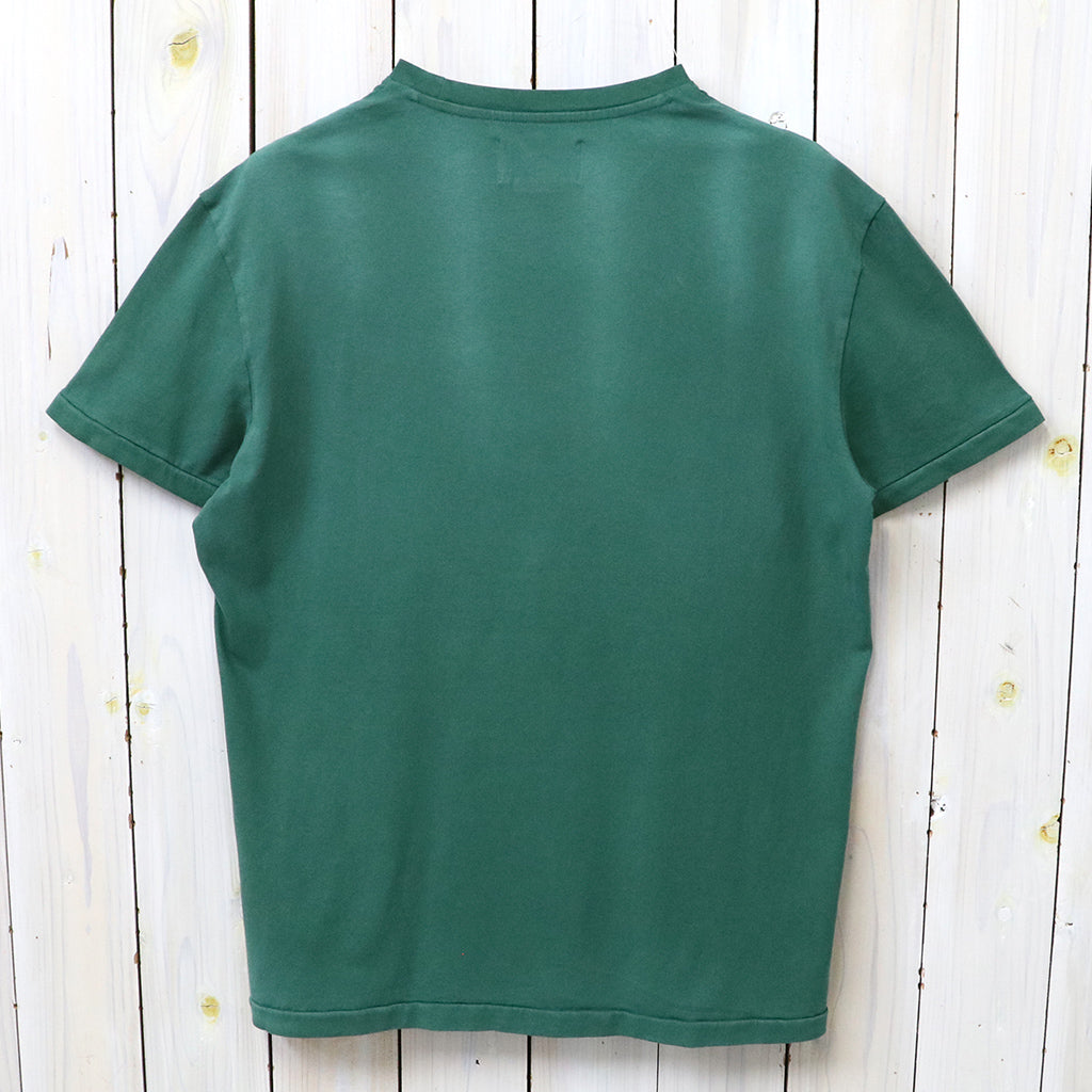 POLO RALPH LAUREN : クラシックフィット シーズナル グラフィック Tシャツ (ANTIQUE GREEN)