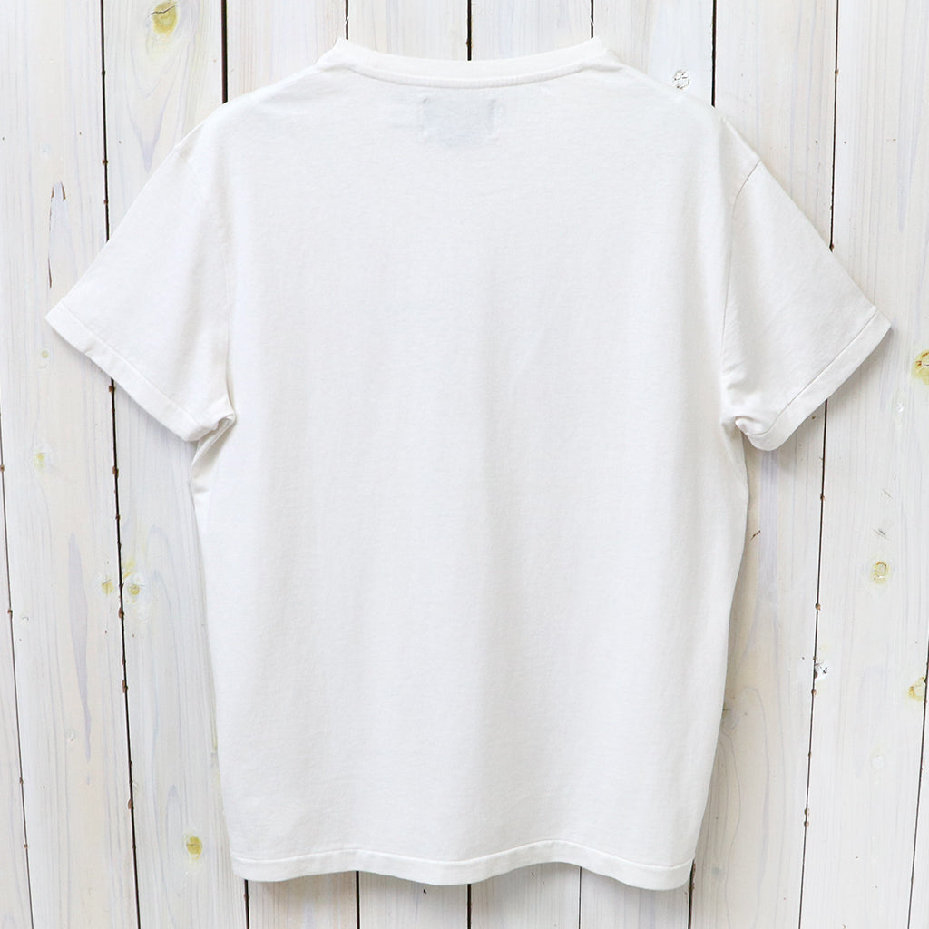 POLO RALPH LAUREN : クラシックフィット シーズナル グラフィック Tシャツ (NEVIS)