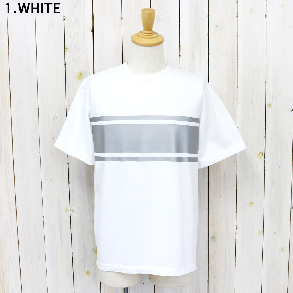 SASSAFRAS『NIGHT FLASH BORDER T 1/2』