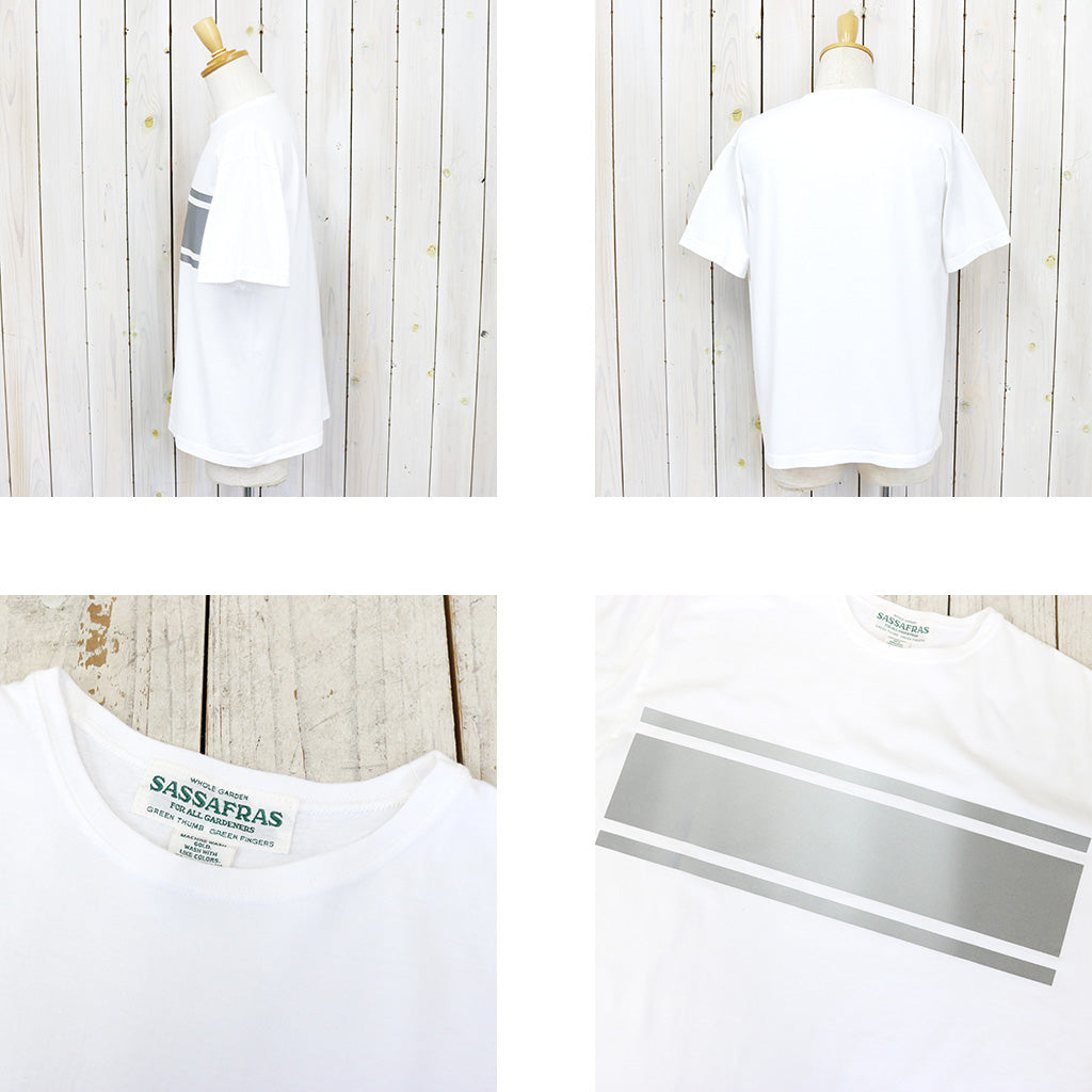 SASSAFRAS『NIGHT FLASH BORDER T 1/2』