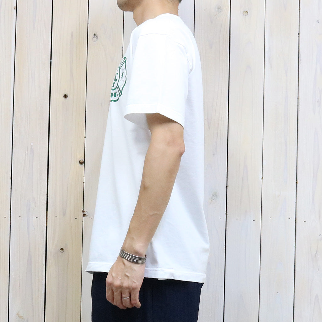SASSAFRAS『FLASH TOOL T 1/2』