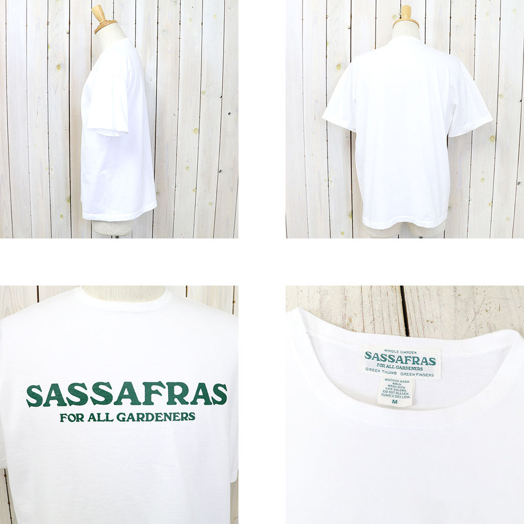 SASSAFRAS『SASSAFRAS T 1/2』