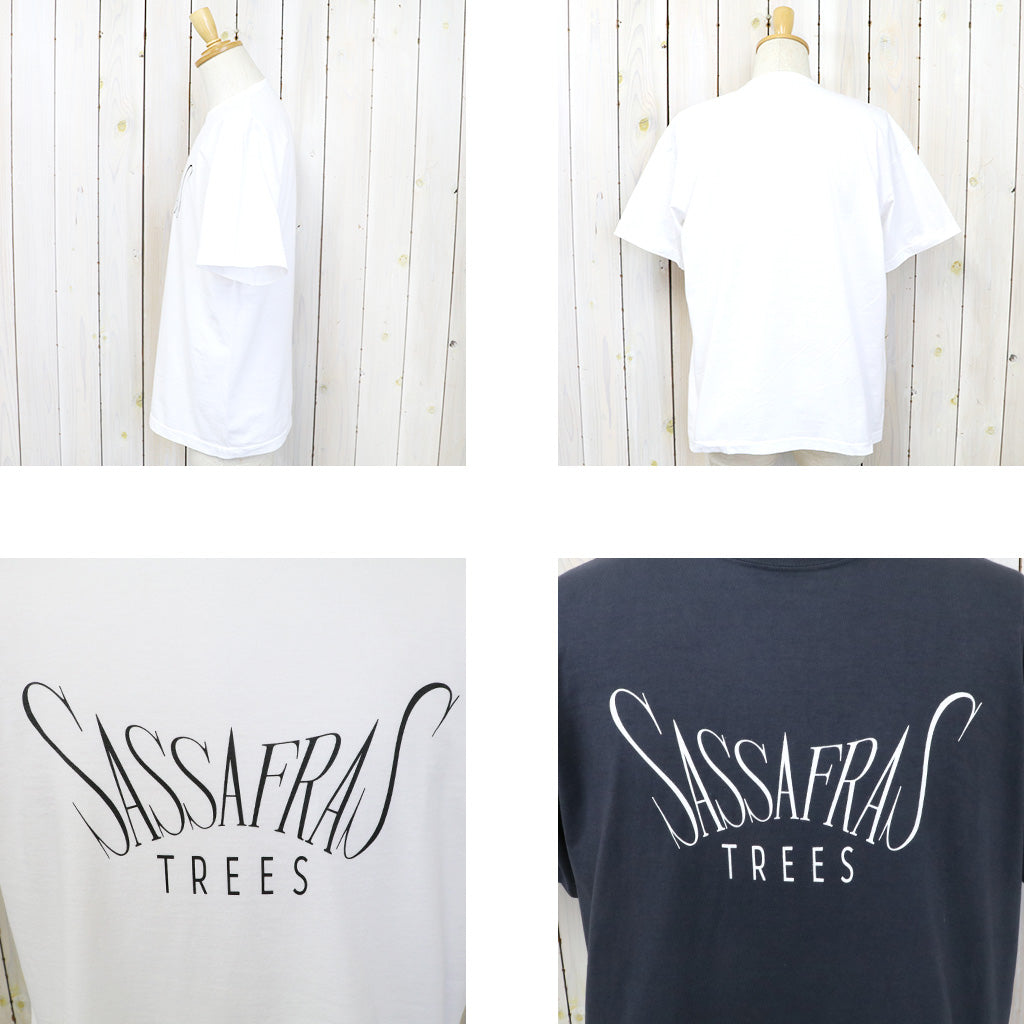 SASSAFRAS『SASSAFRAS TREES T 1/2』