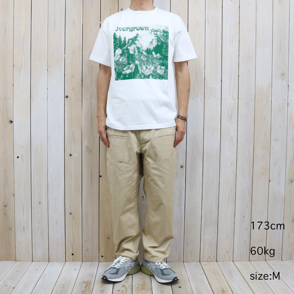 SASSAFRAS "OVERGROWN WARDEN T 1/2"