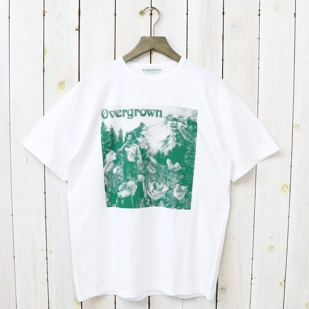 SASSAFRAS "OVERGROWN WARDEN T 1/2"