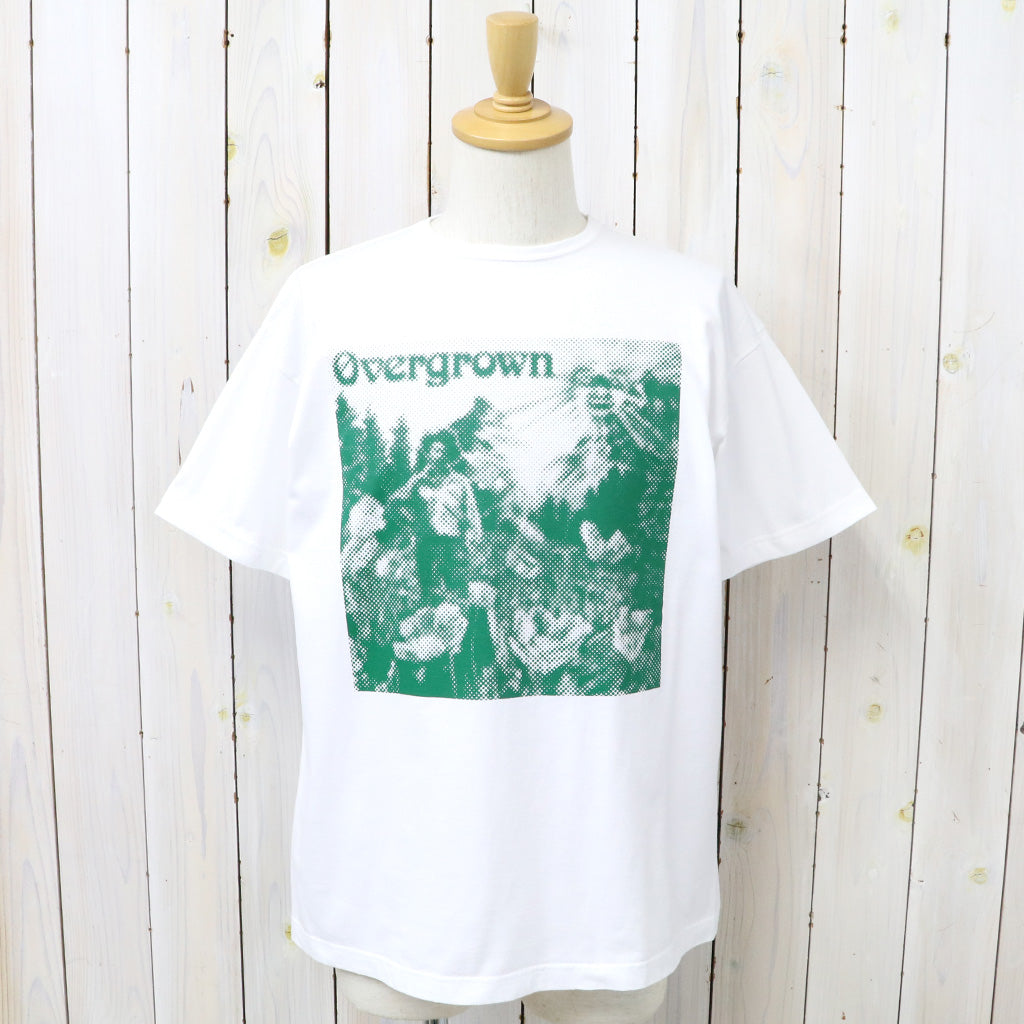 SASSAFRAS "OVERGROWN WARDEN T 1/2"