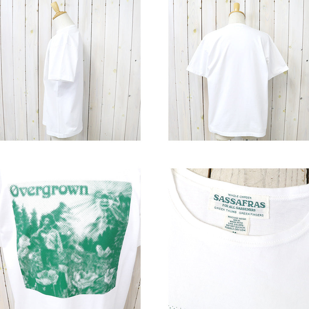 SASSAFRAS "OVERGROWN WARDEN T 1/2"