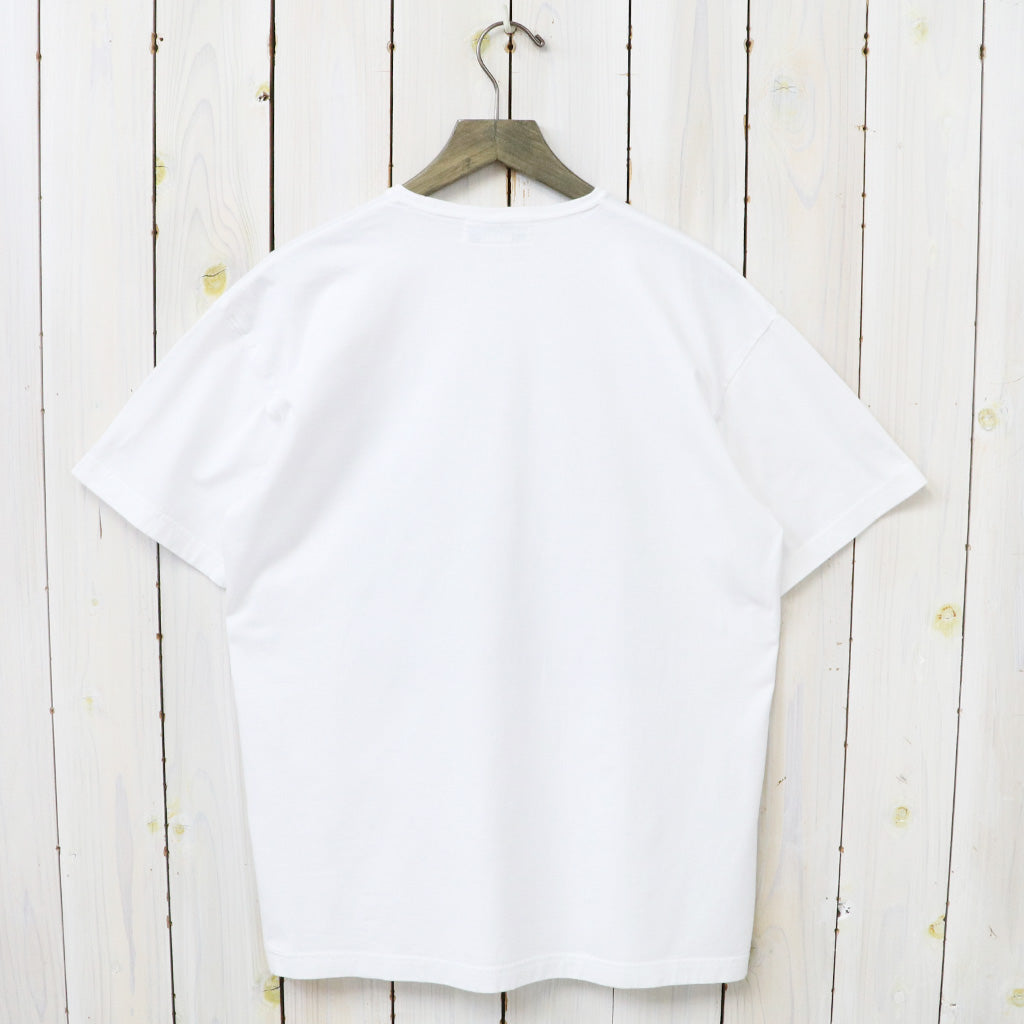 SASSAFRAS "OVERGROWN T 1/2"
