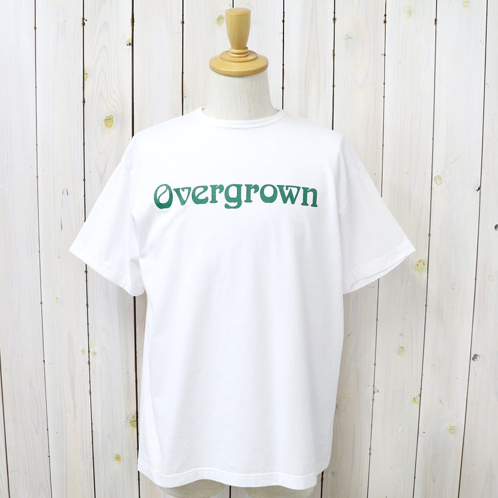 SASSAFRAS "OVERGROWN T 1/2"