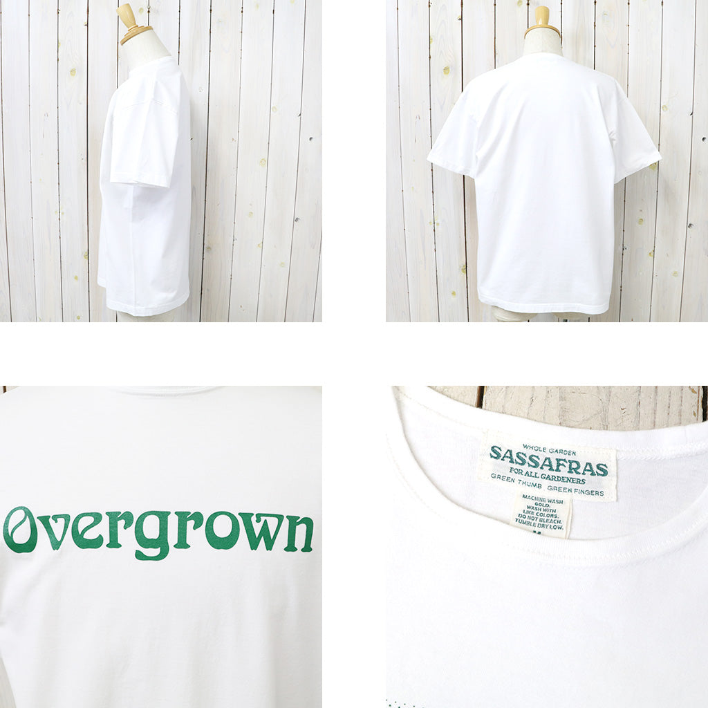 SASSAFRAS "OVERGROWN T 1/2"