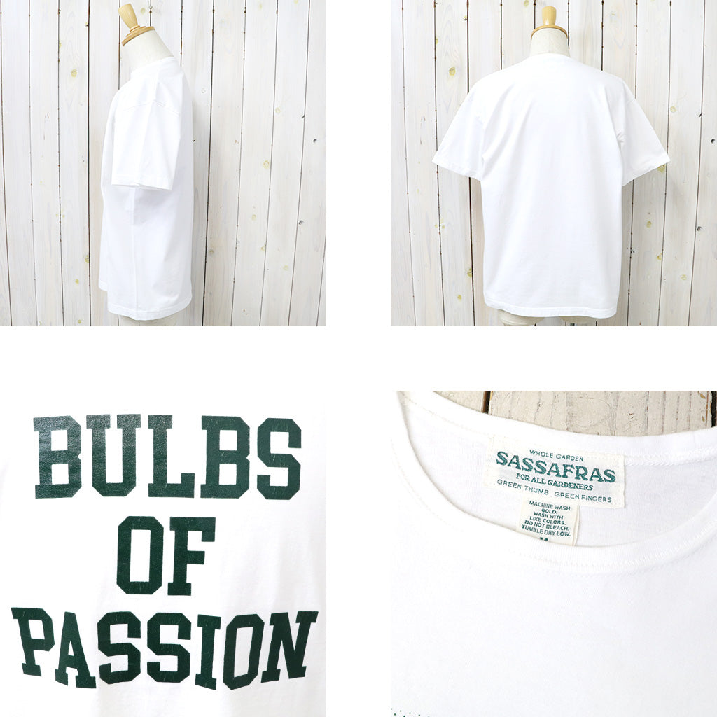 SASSAFRAS "BULBS OF PASSION T 1/2"