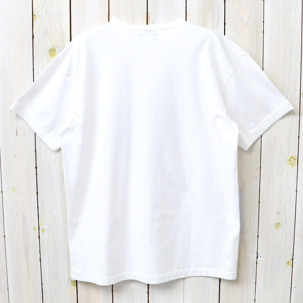 SASSAFRAS : WHOLE GARDEN TOOLS T 1/2 (WHITE)