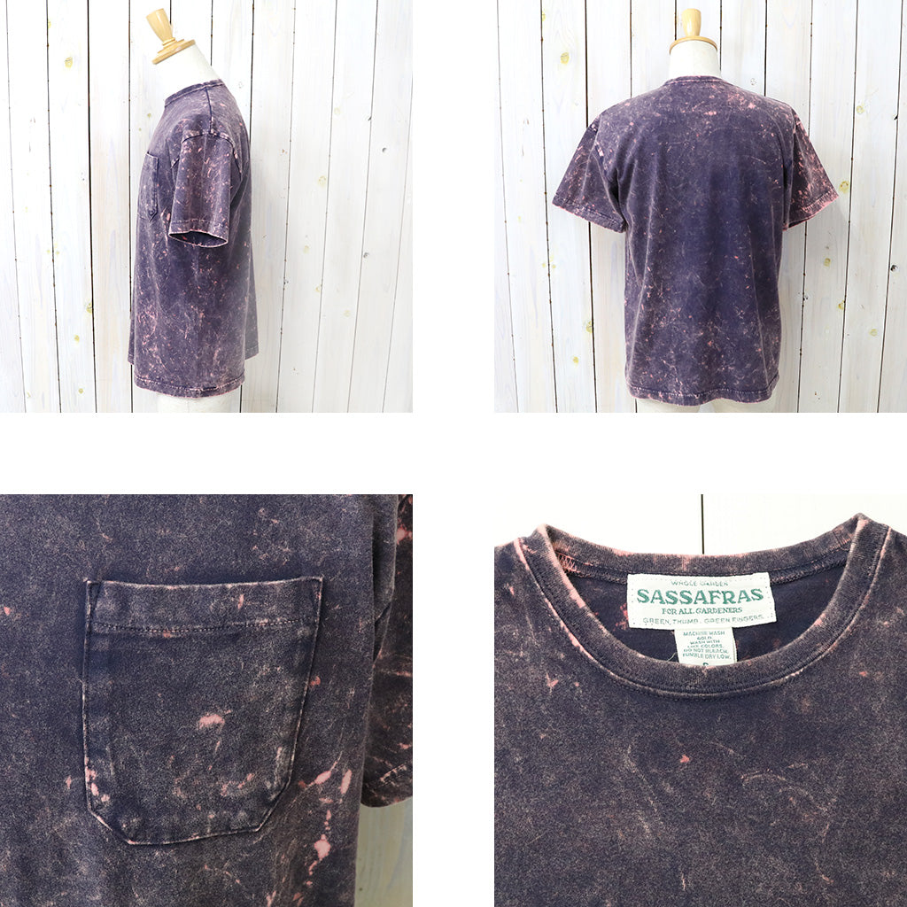 SASSAFRAS : SOIL GALAXY CCP T 1/2