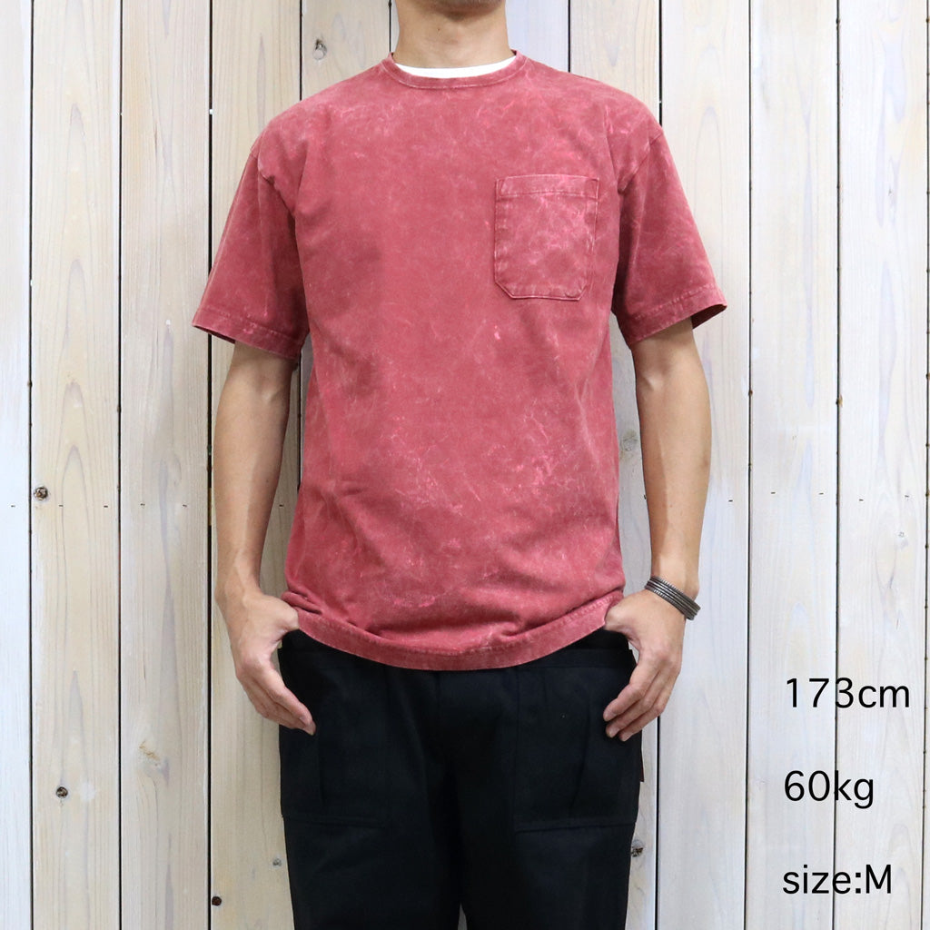 SASSAFRAS : SOIL GALAXY T 1/2 (SF-262403)