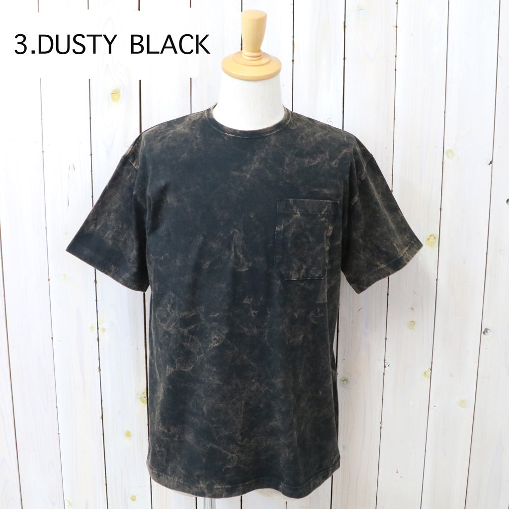 SASSAFRAS : SOIL GALAXY T 1/2 (SF-262403)