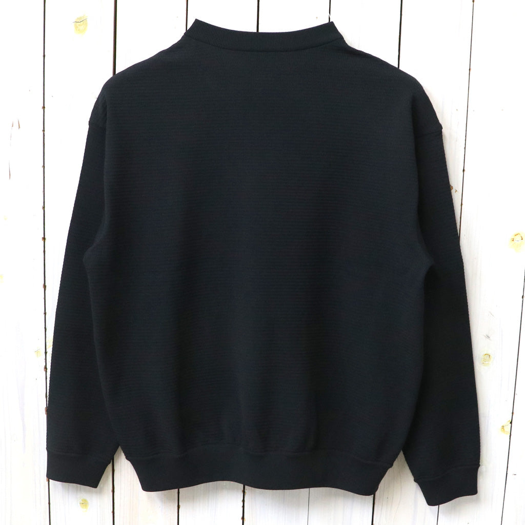 THE NORTH FACE : L/S Ripple Knit Crew (ブラック)