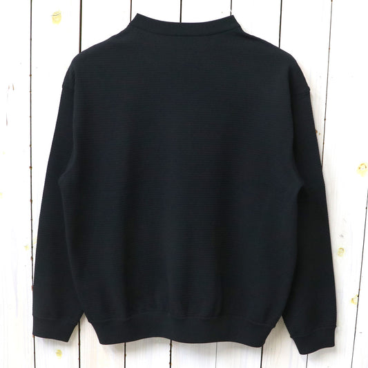 THE NORTH FACE : L/S Ripple Knit Crew (ブラック)